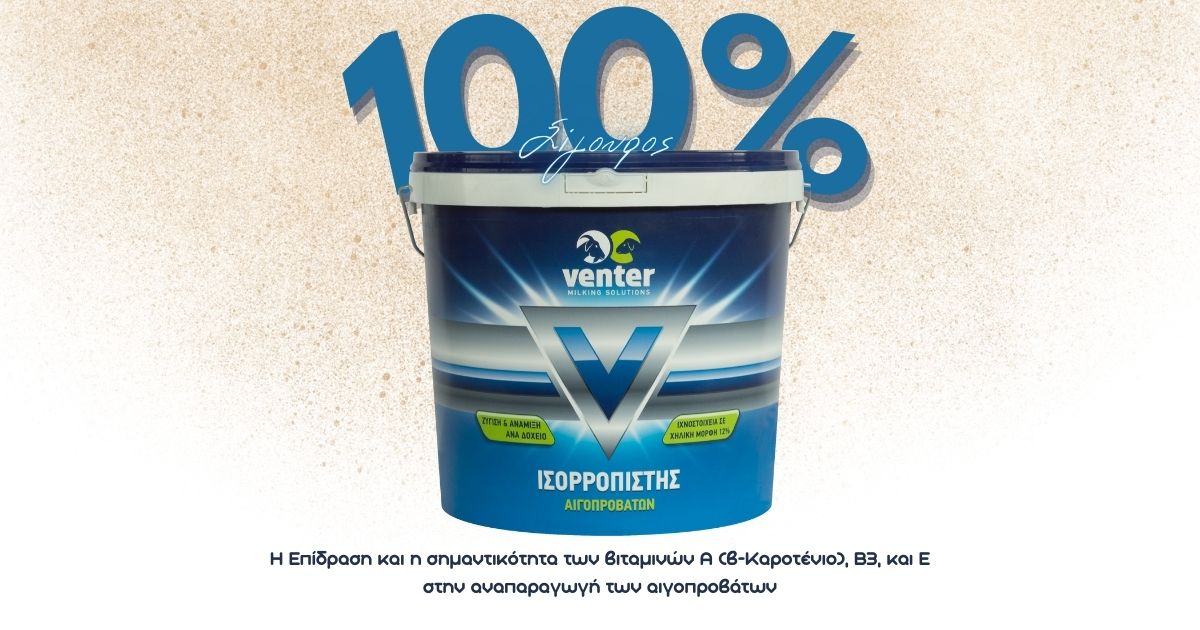 Η Επίδραση και η σημαντικότητα των βιταμινών: