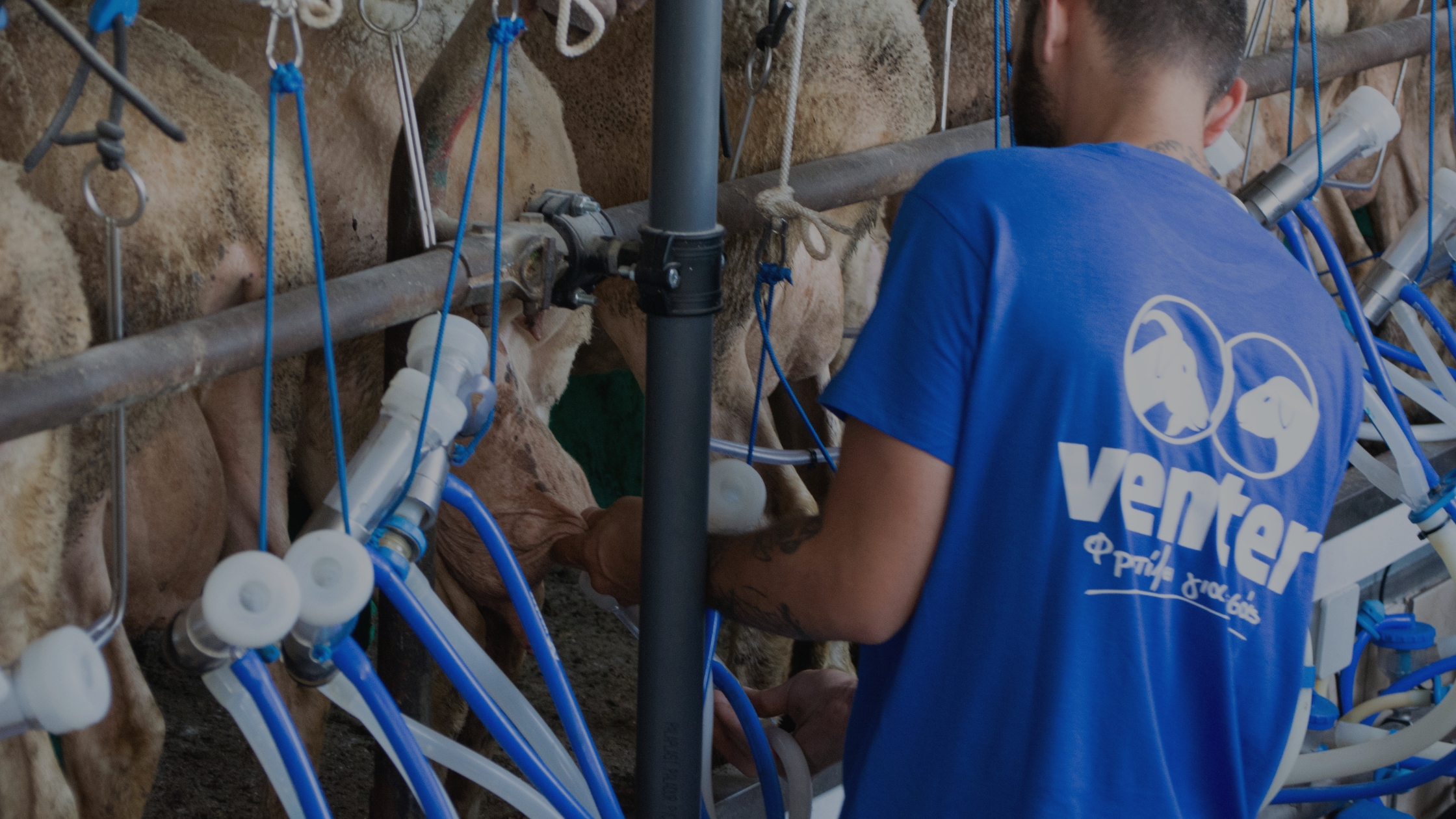 Advanced Milking Systems