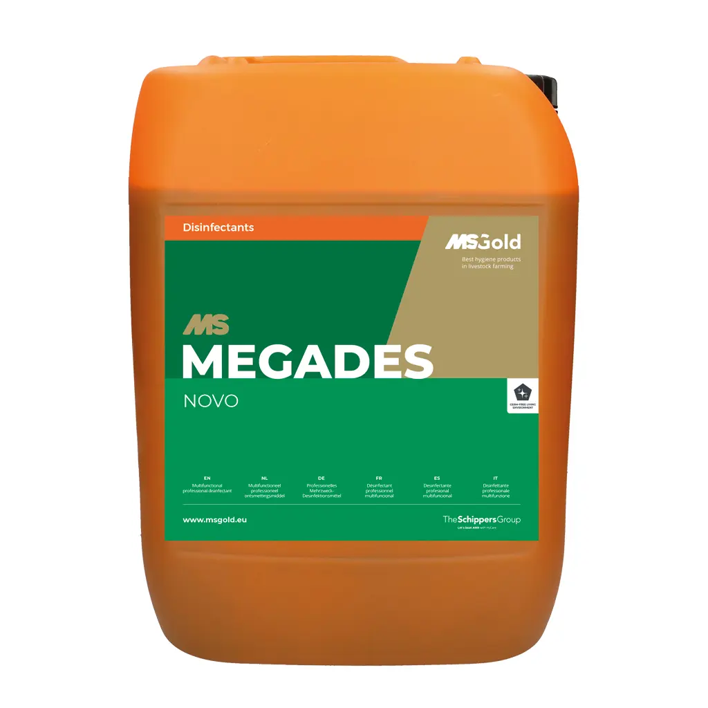 MegaDes